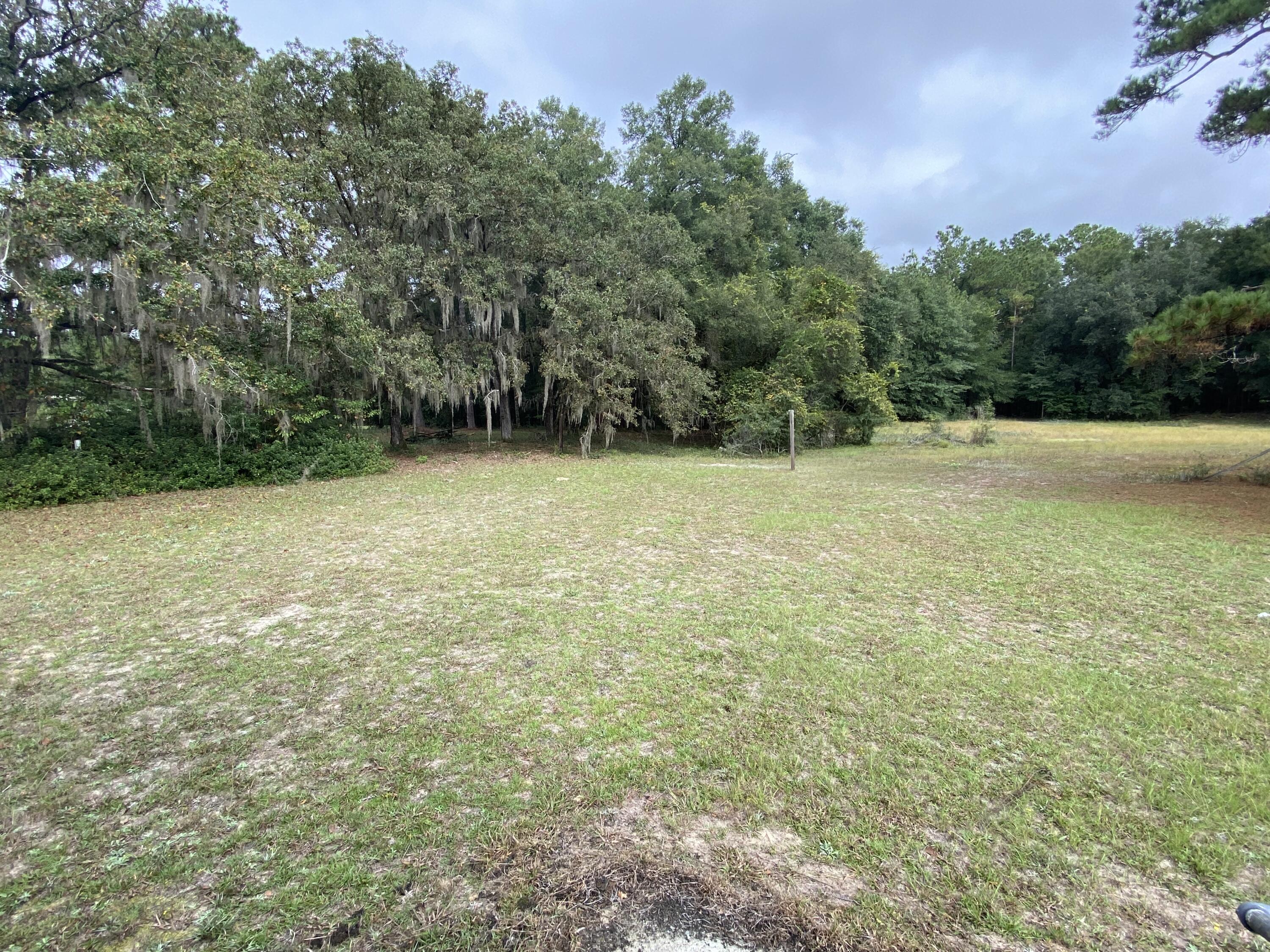 202 Old Cemetery Road Jamestown, SC 29453 - Photo 20 of 24 View from back door