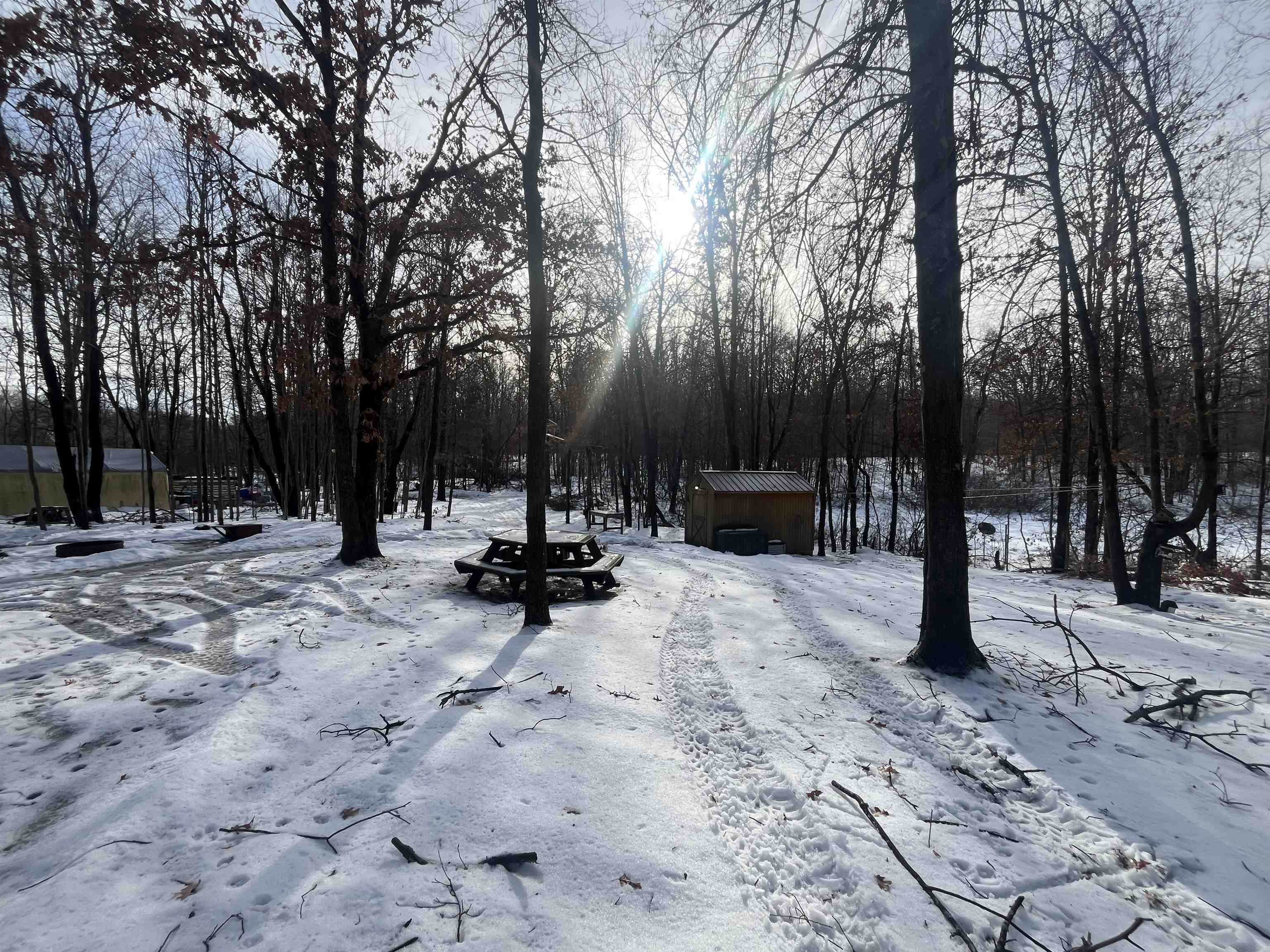 7907 West Weidman Road Mount Pleasant, MI 48858 - Photo 8 of 12