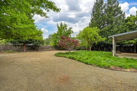 a view of a yard with plants and large trees