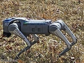 0 Blue Hollow Road, Unit 27 Mount Airy, NC 27030 - Photo 1 of 11 Shadow the Land Pro Robot Dog