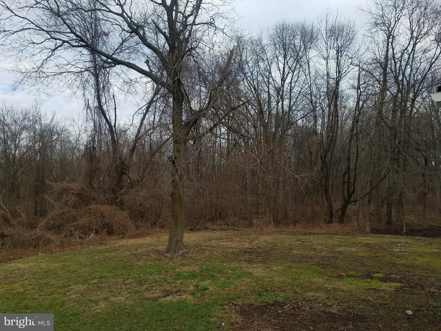 3118 Bath Road Bristol, PA 19007 - Photo 4 of 14 Gallery Image 4