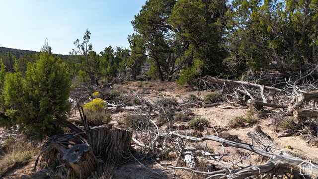 123 Tbd Prout Wash Road North Cedar City, UT 84721 - Photo 55 of 82