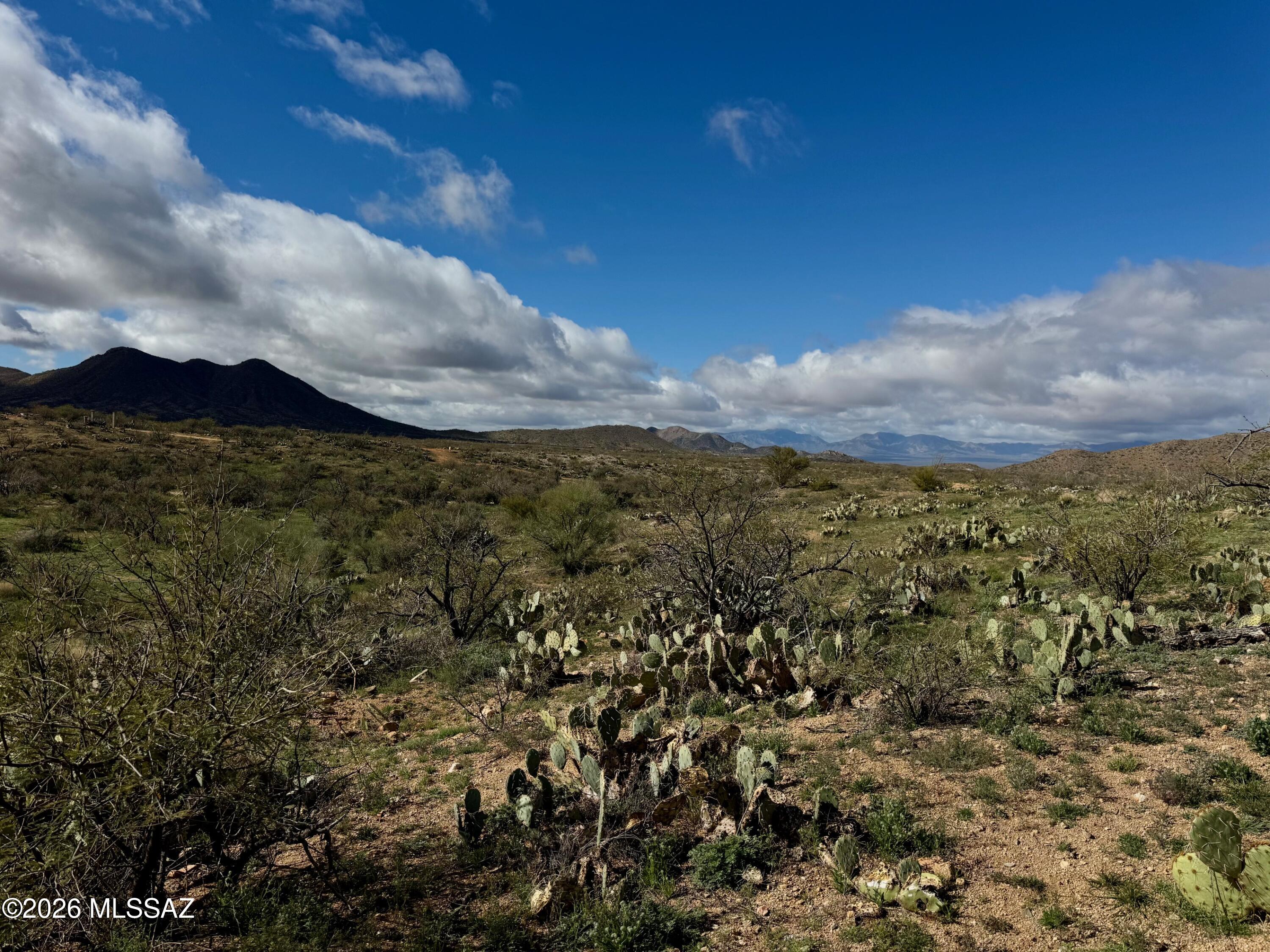 17027 South Sierrita Mountain Road Tucson, AZ 85736 - Photo 11 of 34 a view of a sky from a yard