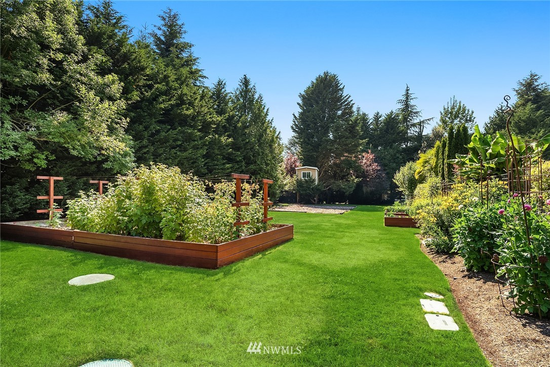 3114 220th Street Southeast Bothell, WA 98021 - Photo 35 of 39 a view of a garden with large trees