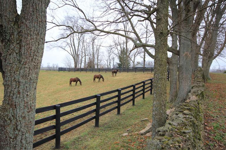 594 Moores Mill Road Midway, KY 40347 - Photo 6 of 57 Photo 6