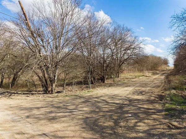 a view of empty space with large trees