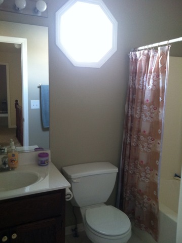 125 Cobblestone Court DeKalb, IL 60115 - Photo 19 of 25 a bathroom with a sink and a mirror
