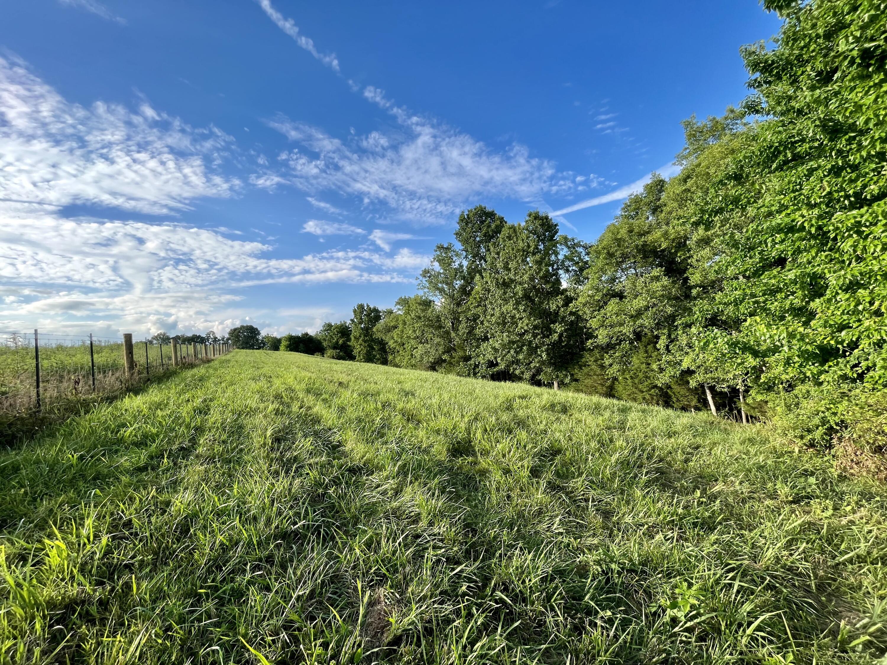 4043 Howards Mill Road Mount Sterling, KY 40353 - Photo 18 of 24 18