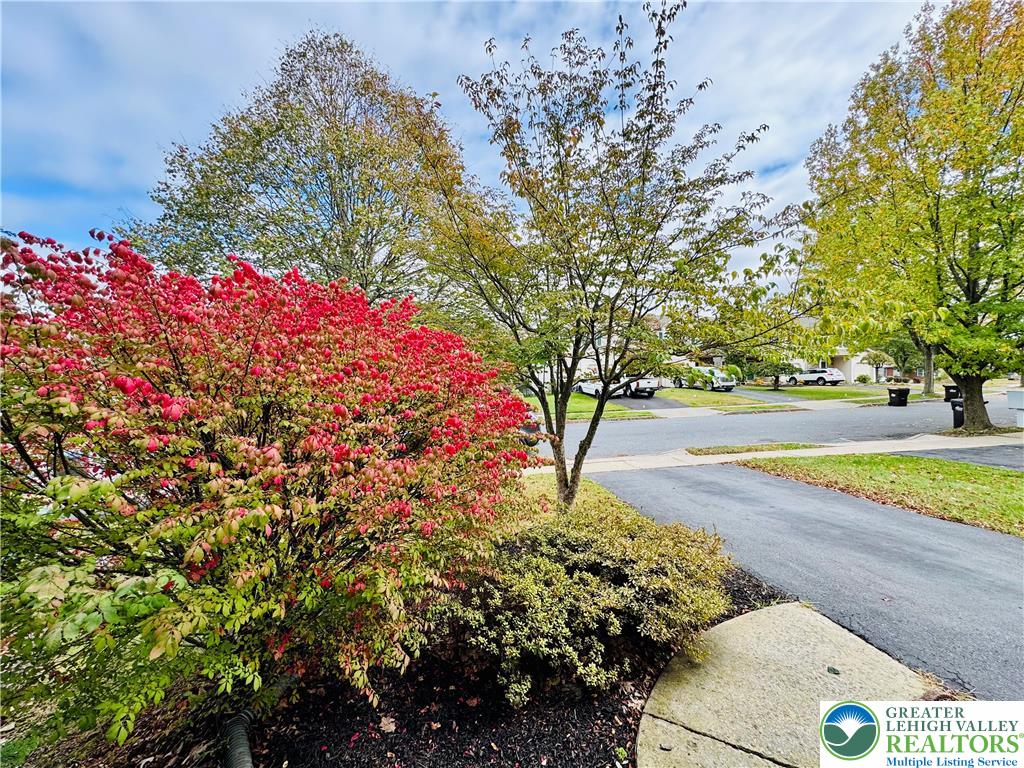 4034 Reeve Drive Bethlehem, PA 18020 - Photo 36 of 36 a view of a yard with flower plants