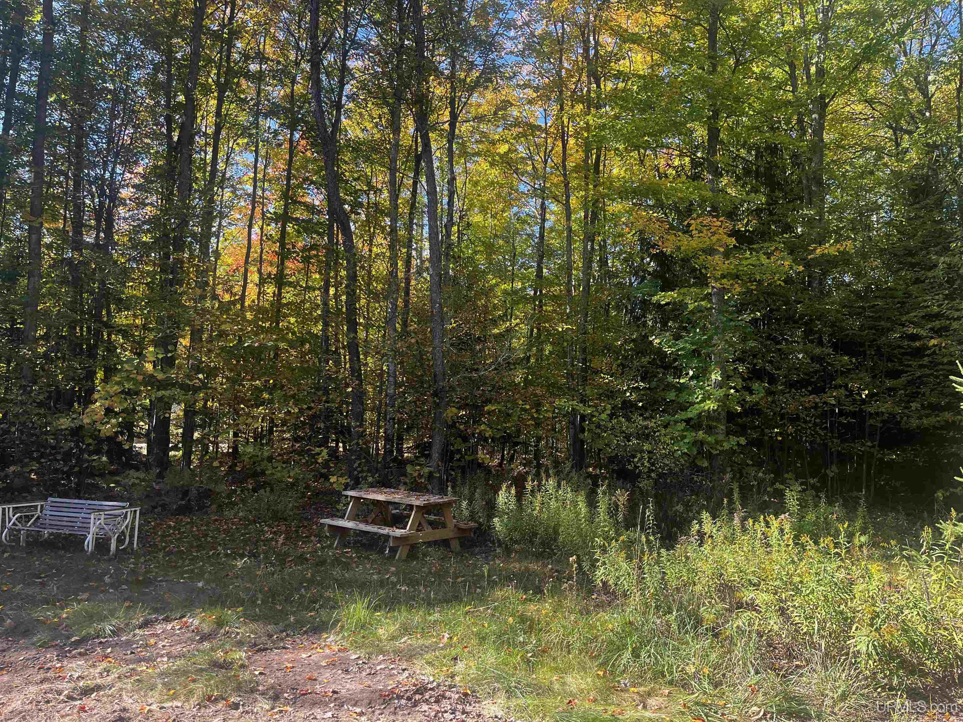 4104 Storm Road Chatham, MI 49816 - Photo 20 of 45