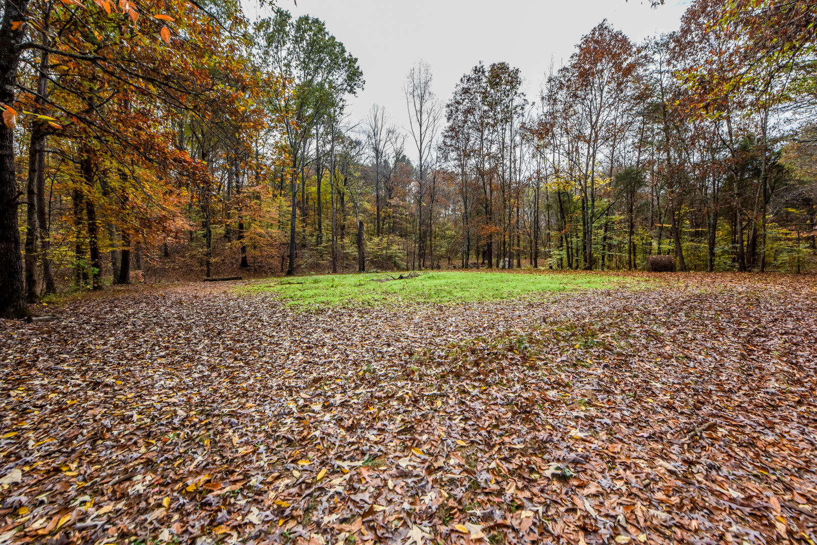 Cleared area for