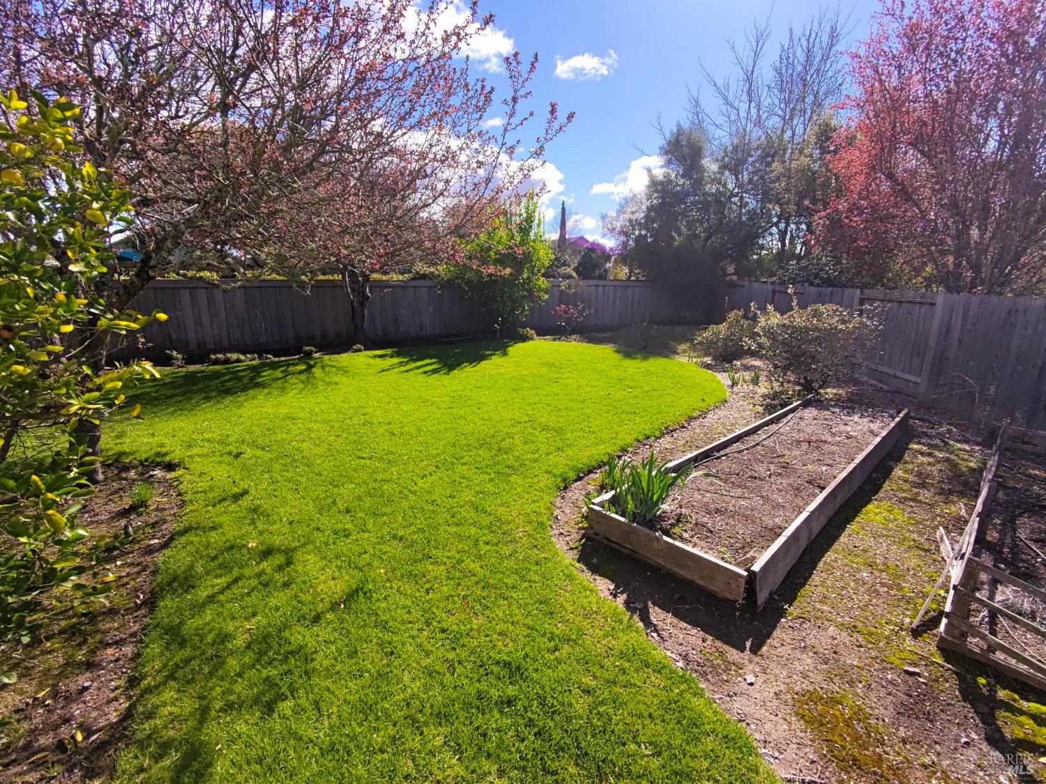 135 Fulton Place Windsor, CA 95492 - Photo 32 of 42 Backyard space for gardening with raised beds.