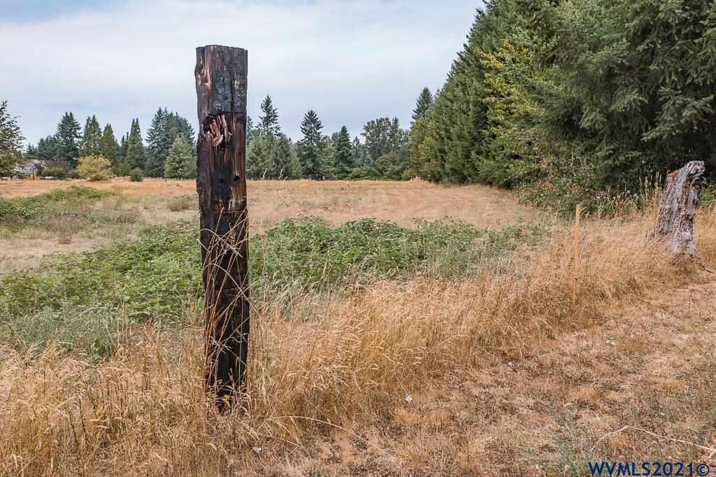 River (next To) Road Lebanon, OR 97355 - Photo 2 of 18