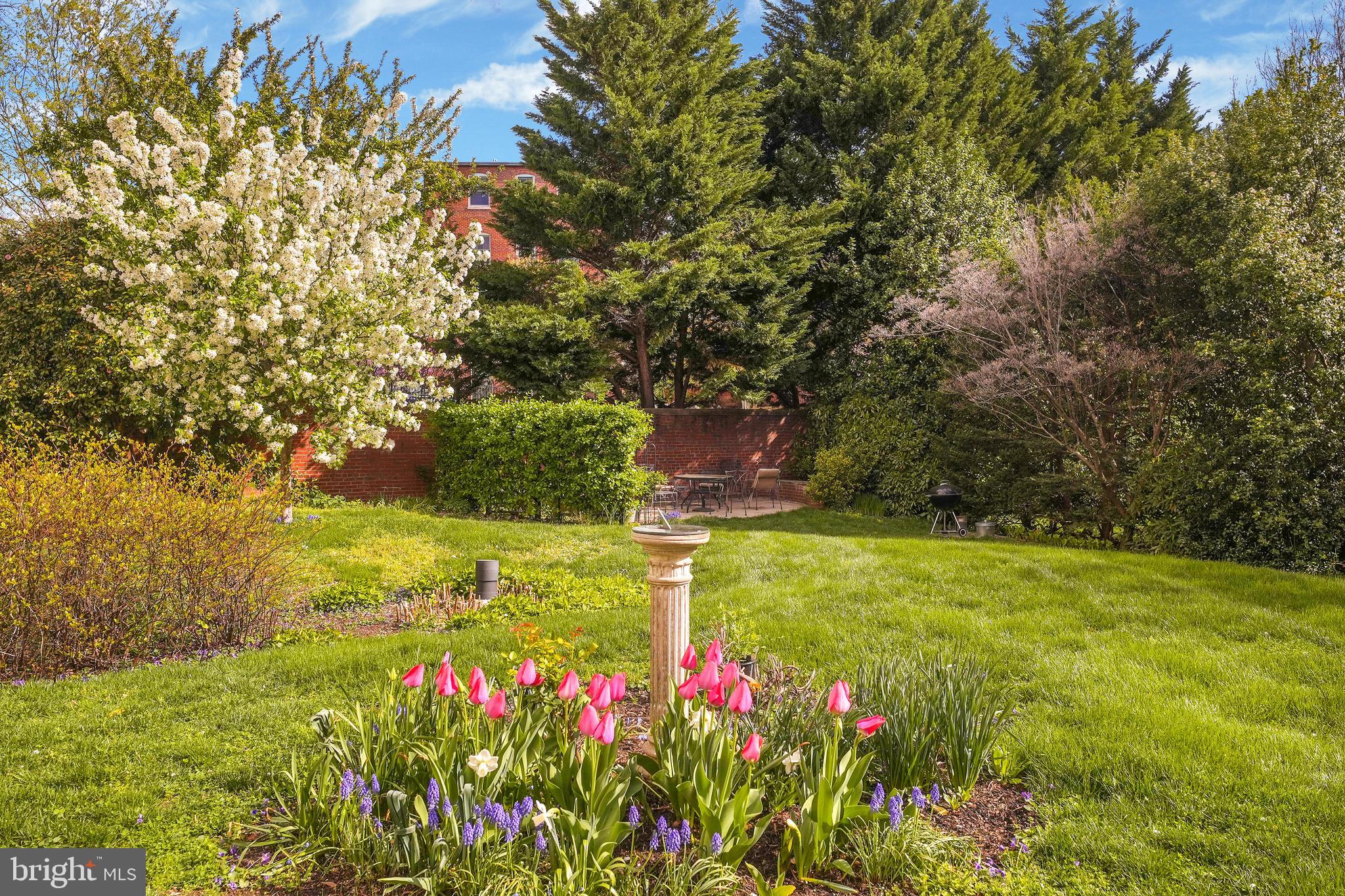 1657 31st Street Northwest, Unit 203 Washington, DC 20007 - Photo 19 of 24 Lush Community Gardens