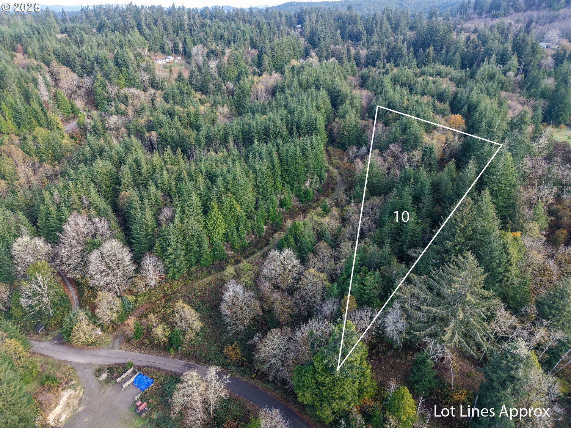 10 Pierson Road, Unit 1412 Coos Bay, OR 97420 - Photo 2 of 2 a view of a forest with a street