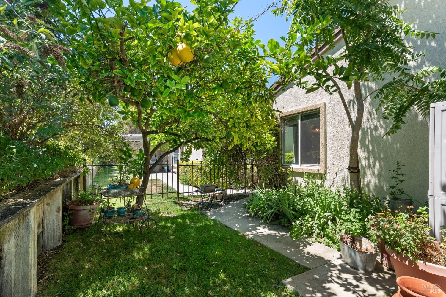 602 Summerset Drive Rio Vista, CA 94571 - Photo 30 of 65