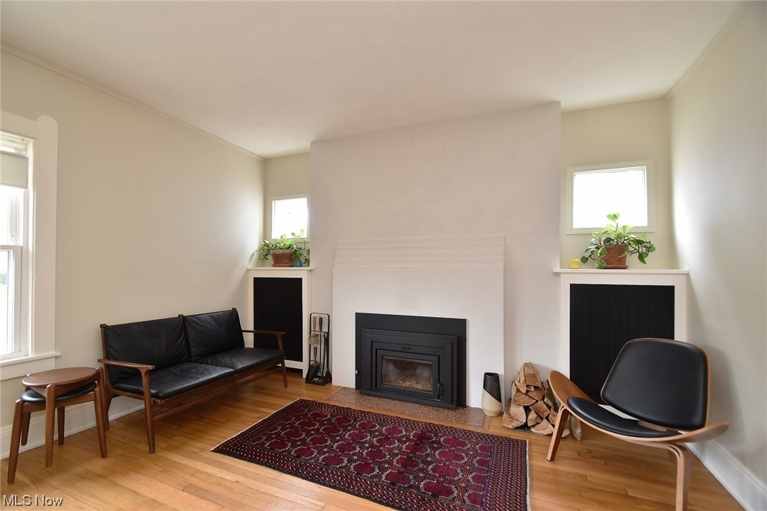 3004 Corydon Road Cleveland, OH 44118 - Photo 5 of 32 Gorgeous fireplace flanked by windows and shelves for lamps or plants!