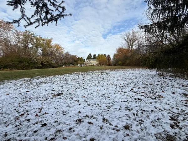 a view of a yard