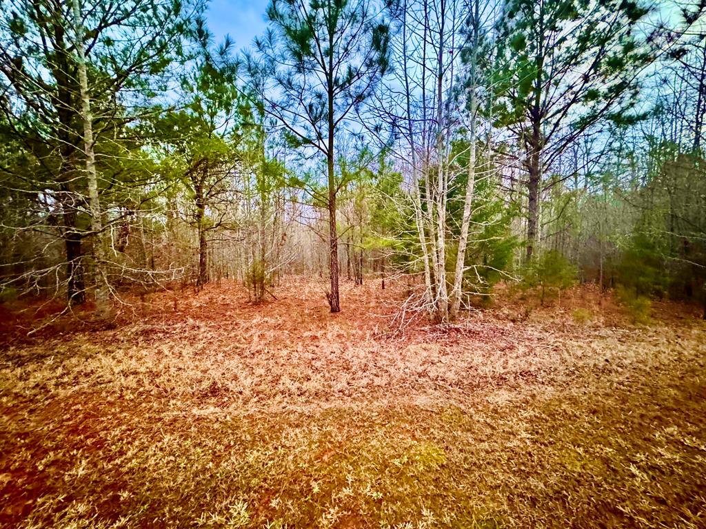 517 Terrapin Pointe Road Hodges, SC 29653 - Photo 5 of 29