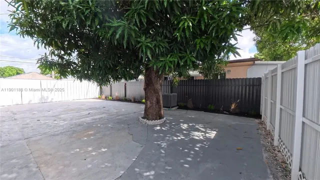a view of backyard and tree