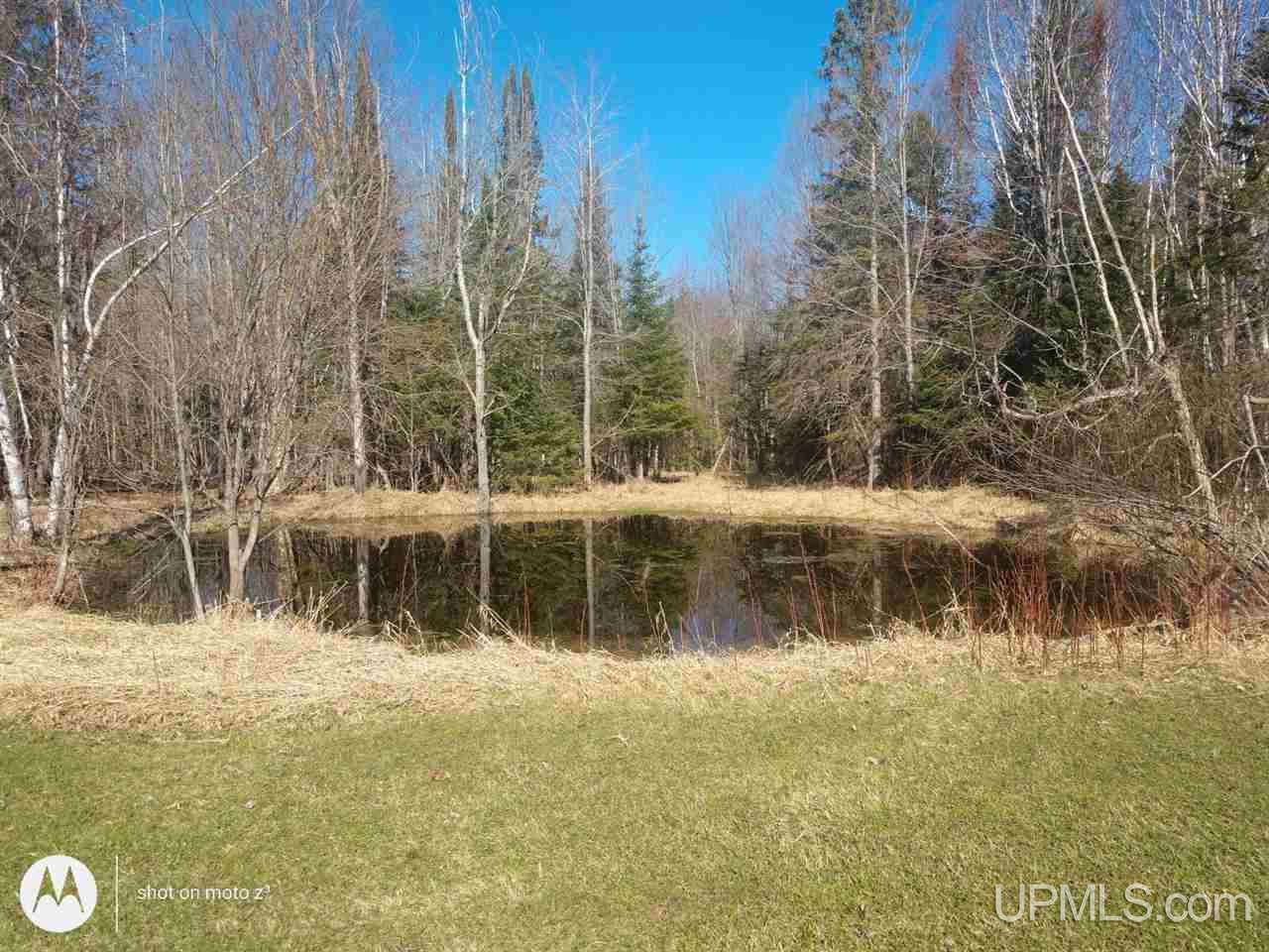 12446 Lucas Road Skanee, MI 49962 - Photo 43 of 58 Gallery Image 43