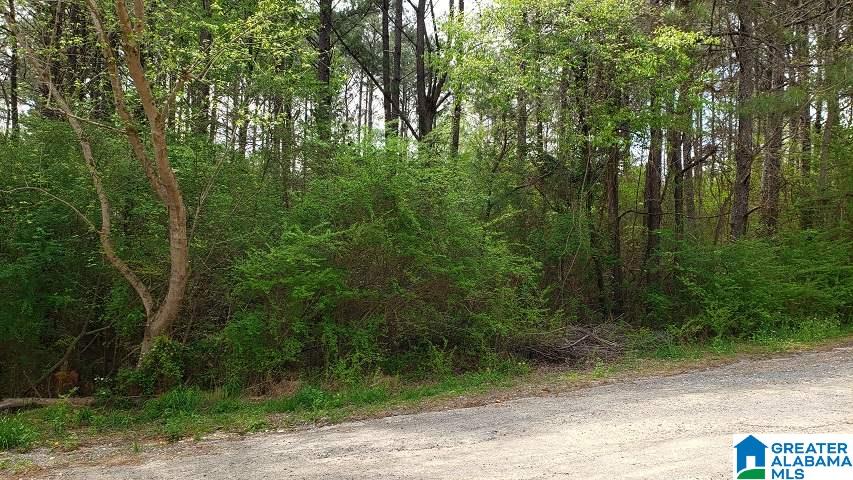 0 Hayden Springs Road, Unit 5 Hayden, AL 35079 - Photo 2 of 2
