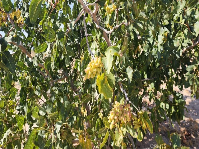 a view of beach and ocean view