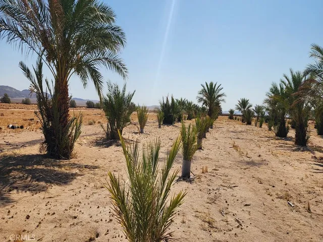 a kitchen with refrigerator a stove and a refrigerator