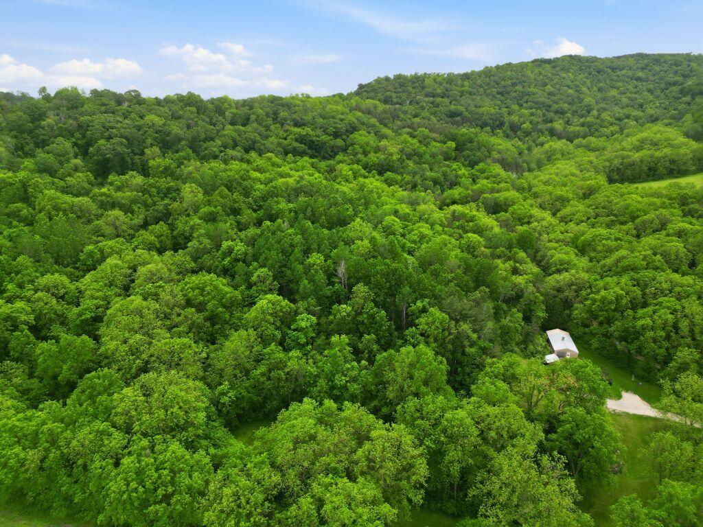 N8083 Amundson Coulee Road Farmington, WI 54636 - Photo 30 of 37 Drone view of thick woods outbu