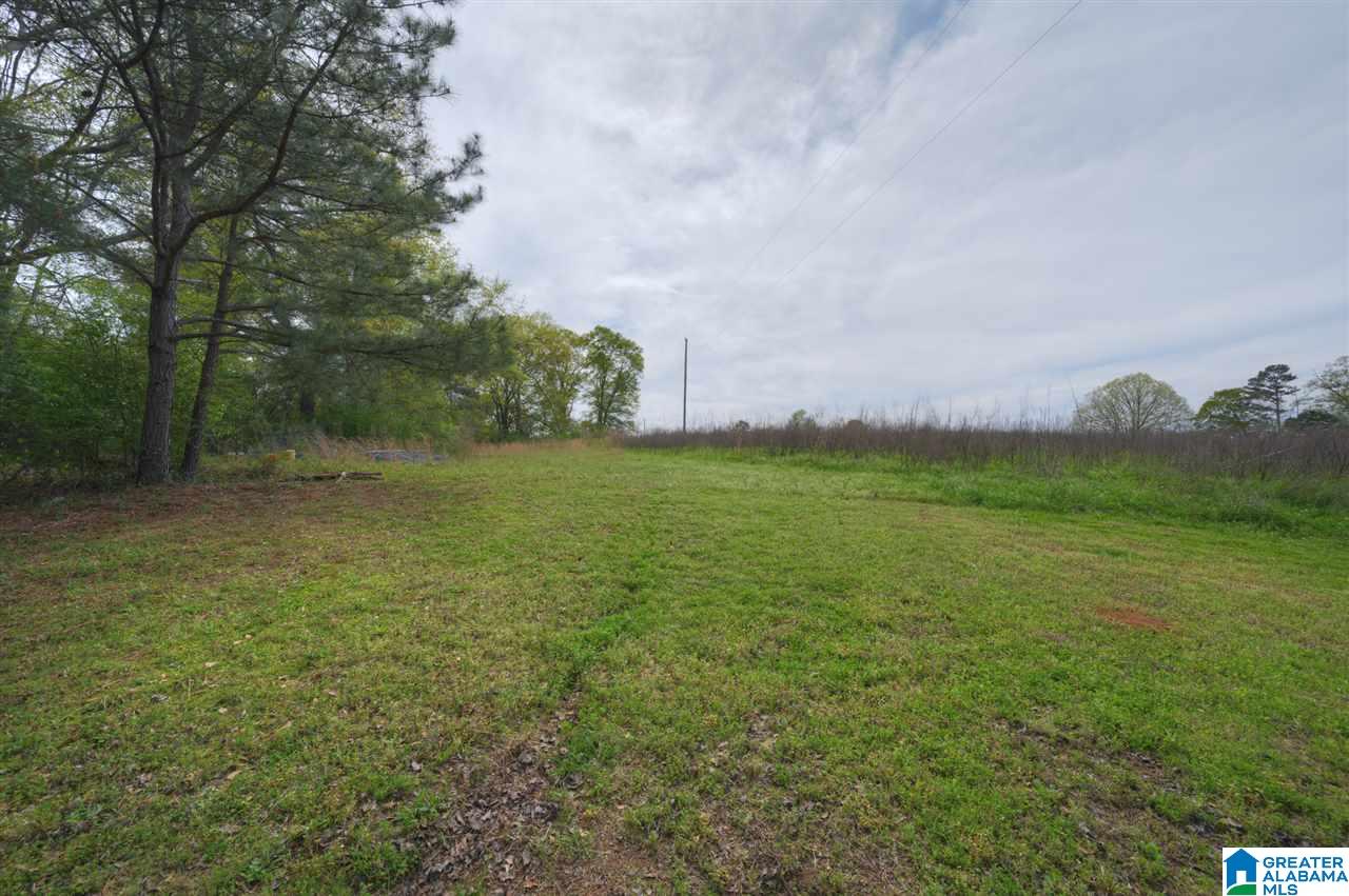 515 Bullard Road Blountsville, AL 35031 - Photo 20 of 21