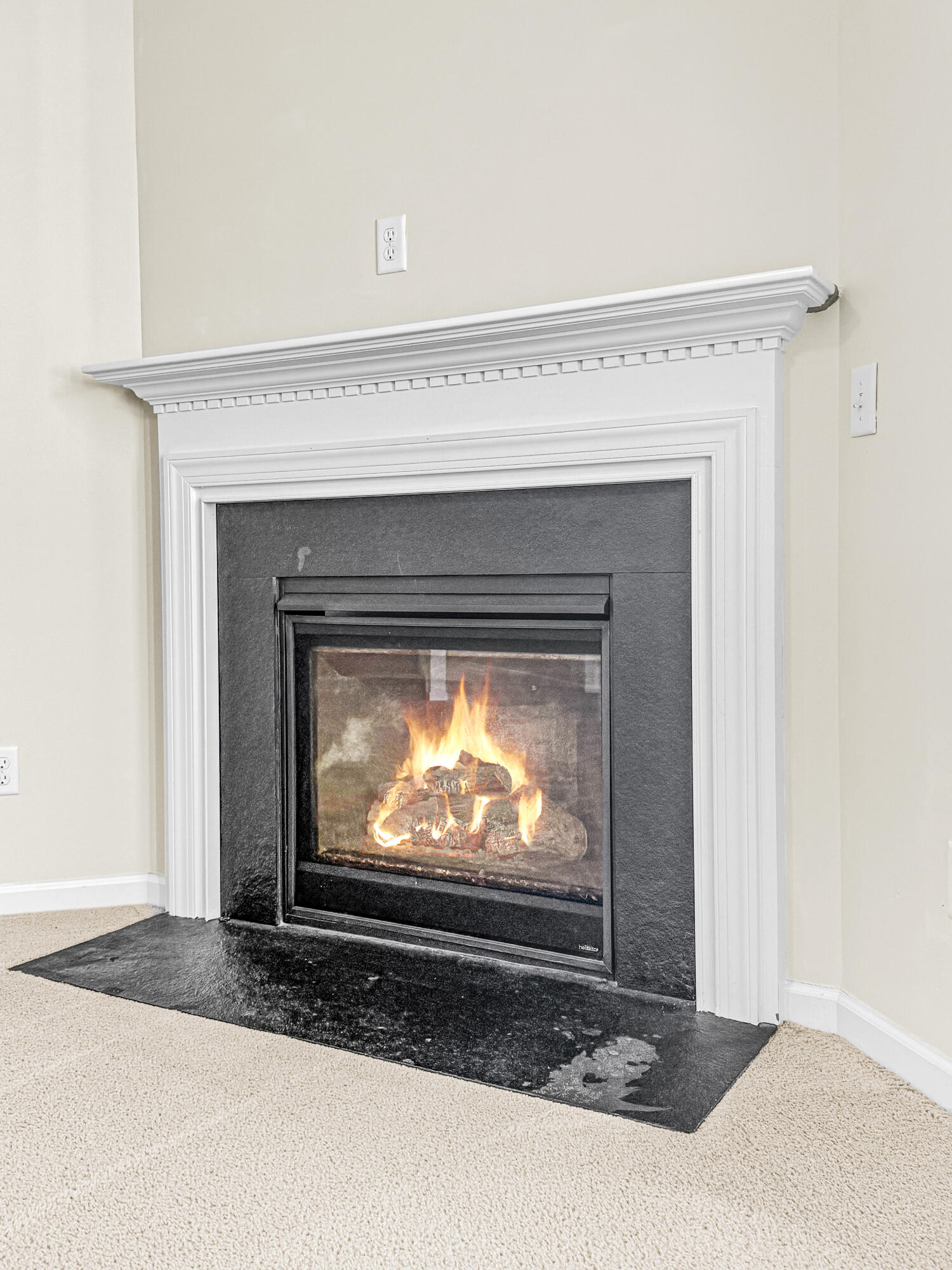 183 Decatur Drive Summerville, SC 29486 - Photo 17 of 64 Gas Log Fireplace