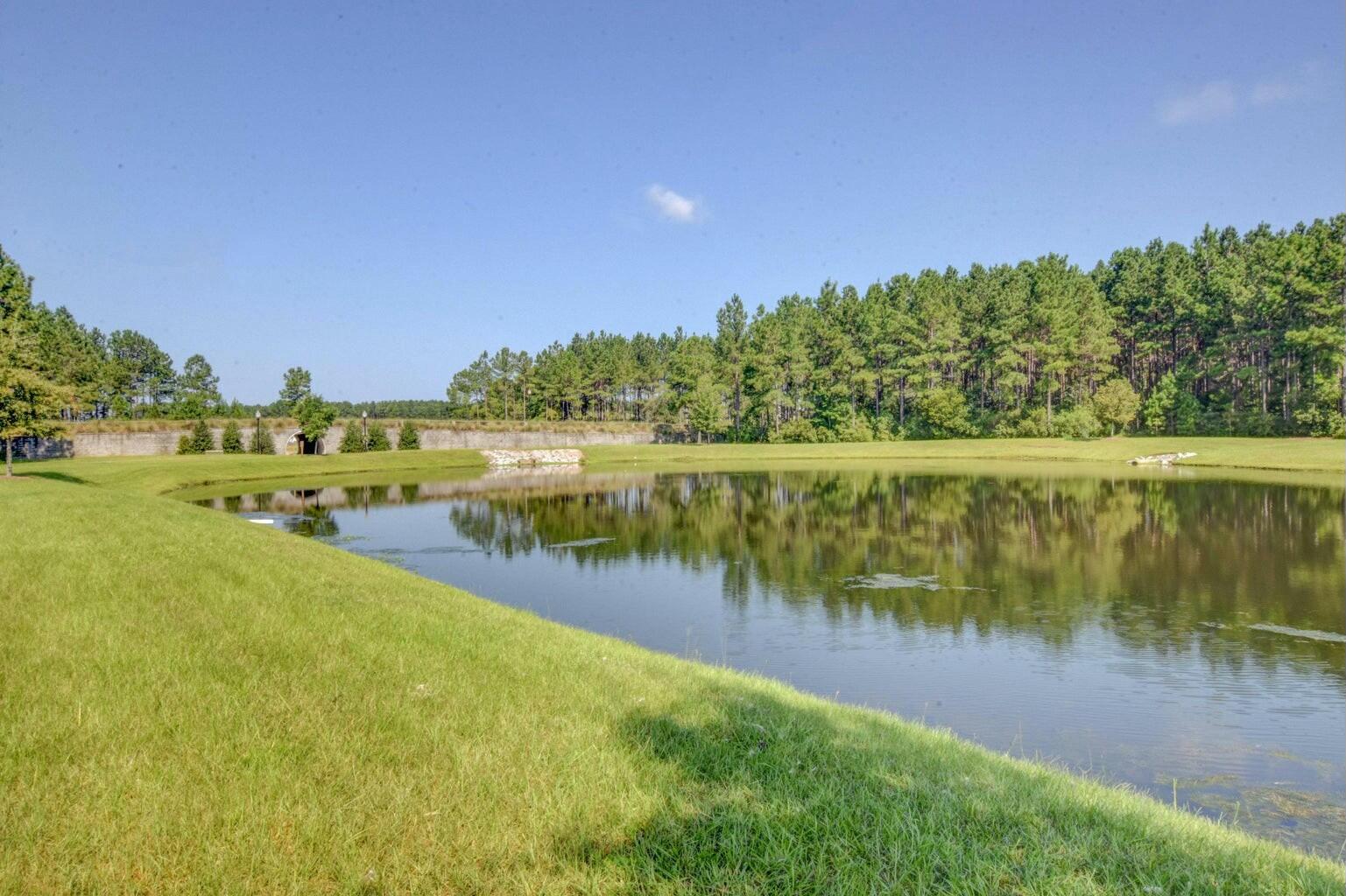 183 Decatur Drive Summerville, SC 29486 - Photo 62 of 64 Ponds
