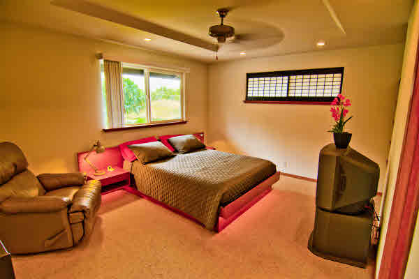 15-1949 Beach Road Keaau, HI 96749 - Photo 9 of 25 Gallery Image 9