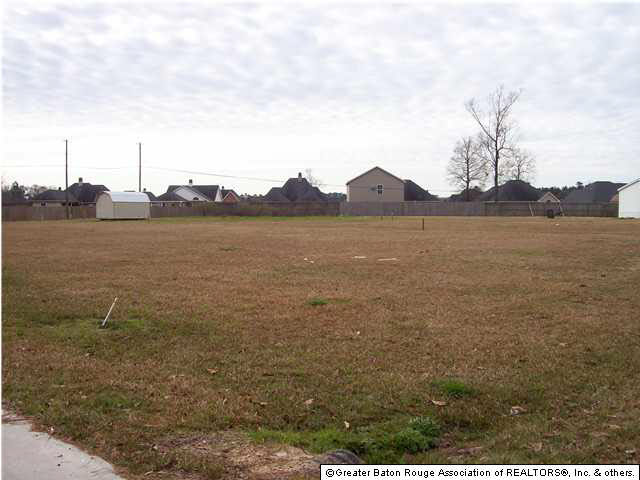 0 Brandon Road Denham Springs, LA 70726 - Photo 3 of 3