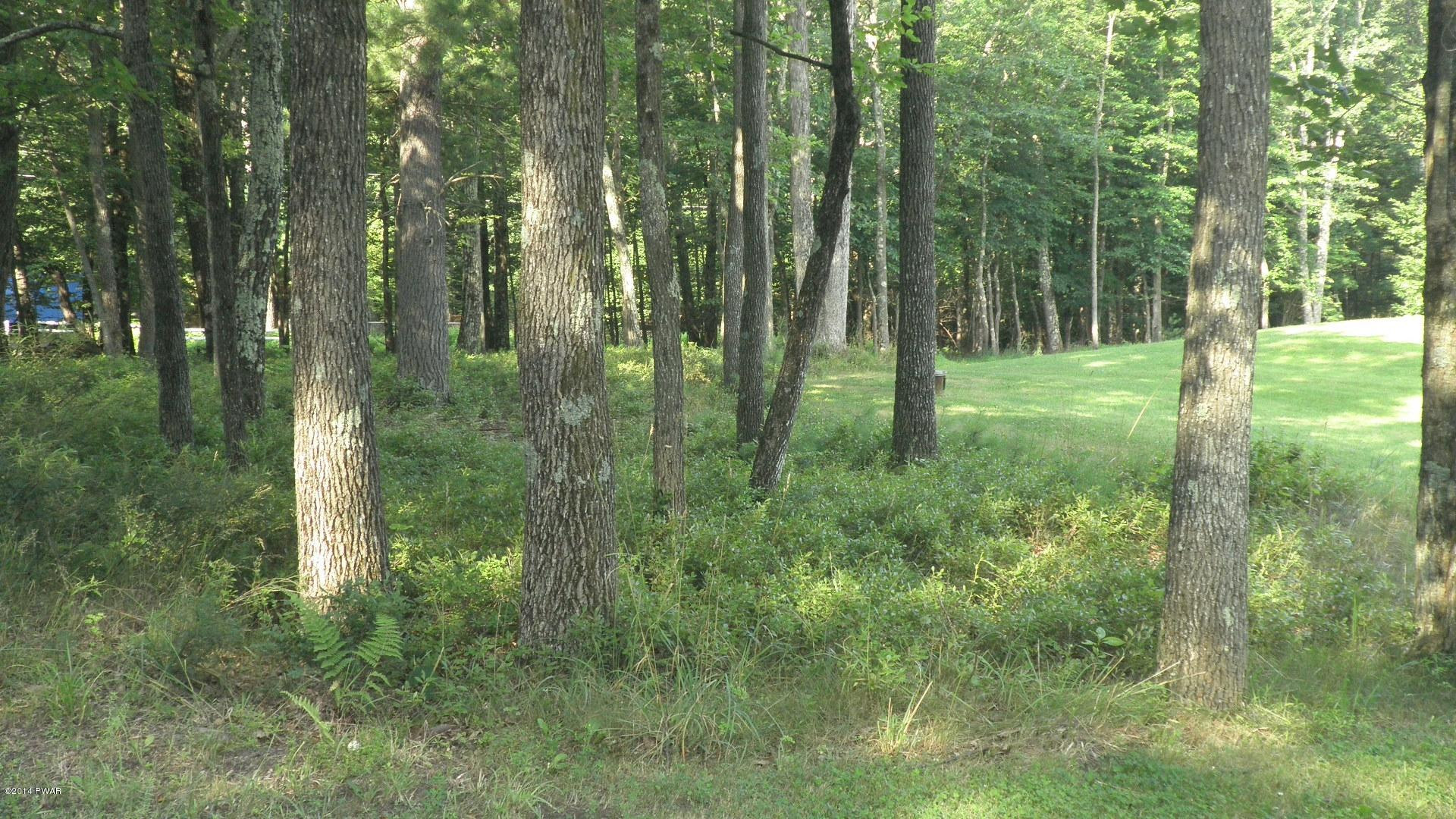 175 Meadow Ridge Acres Road Dingmans Ferry, PA 18328 - Photo 46 of 46 Gallery Image 46