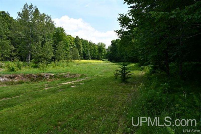 Lot#25 Fordville Road Foster City, MI 49834 - Photo 12 of 27