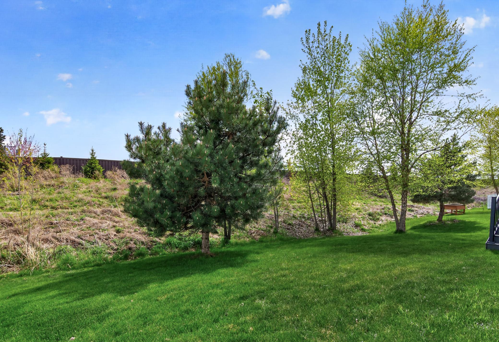 11161 3rd Street North Lake Elmo, MN 55042 - Photo 39 of 49