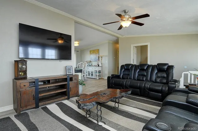 a living room with furniture a ceiling fan and a rug