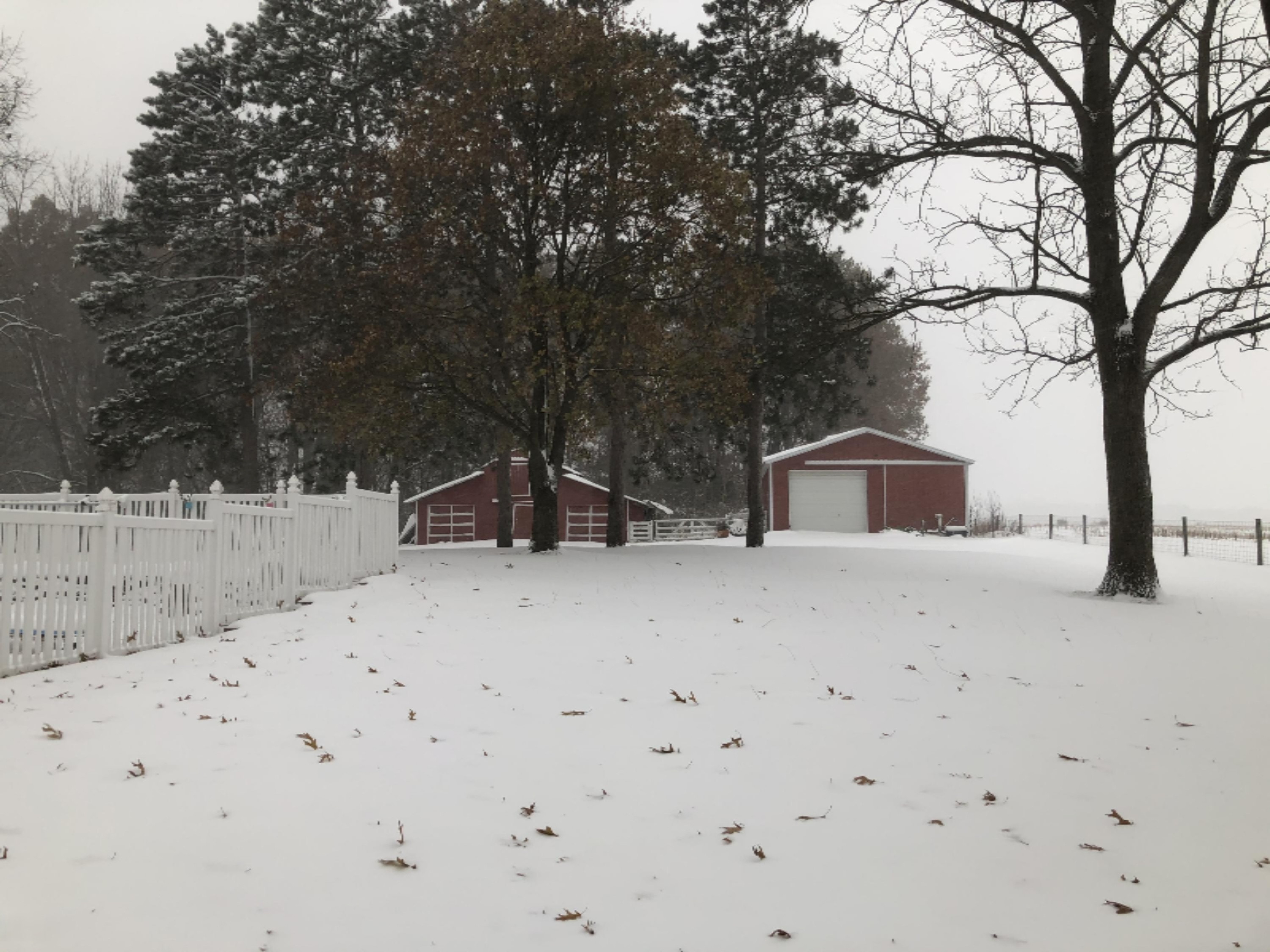 65770 North Centerville Road Sturgis, MI 49091 - Photo 5 of 28 IMG_6119