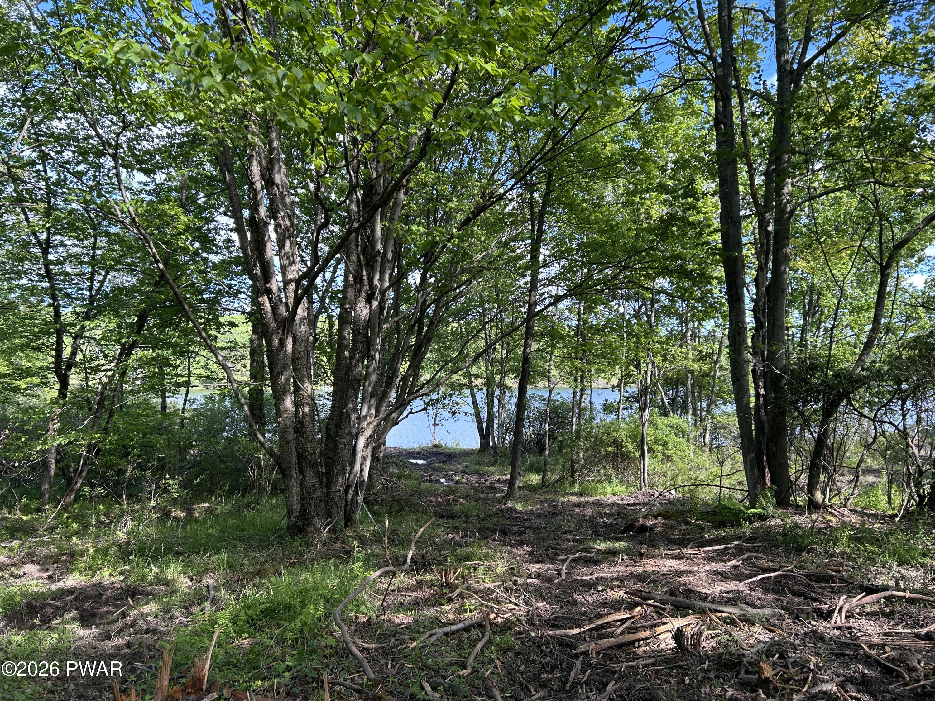 Lot R-c1 Spruce Lake Road Thompson, PA 18465 - Photo 18 of 19