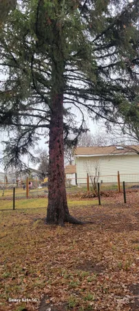 $255,000 | 212 North 4th, Craigmont, ID 83523