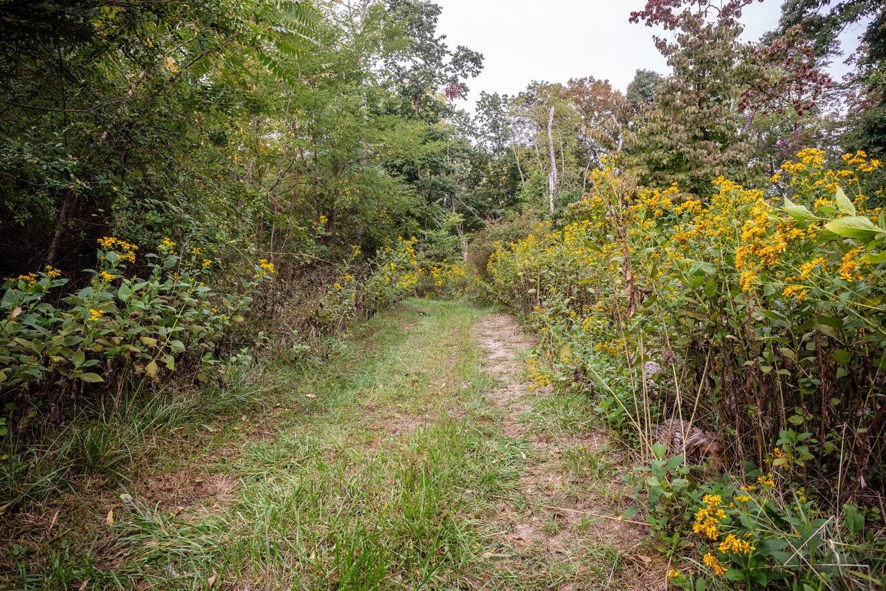 12159 Turleytown Road Broadway, VA 22815 - Photo 72 of 74 Gallery Image 72
