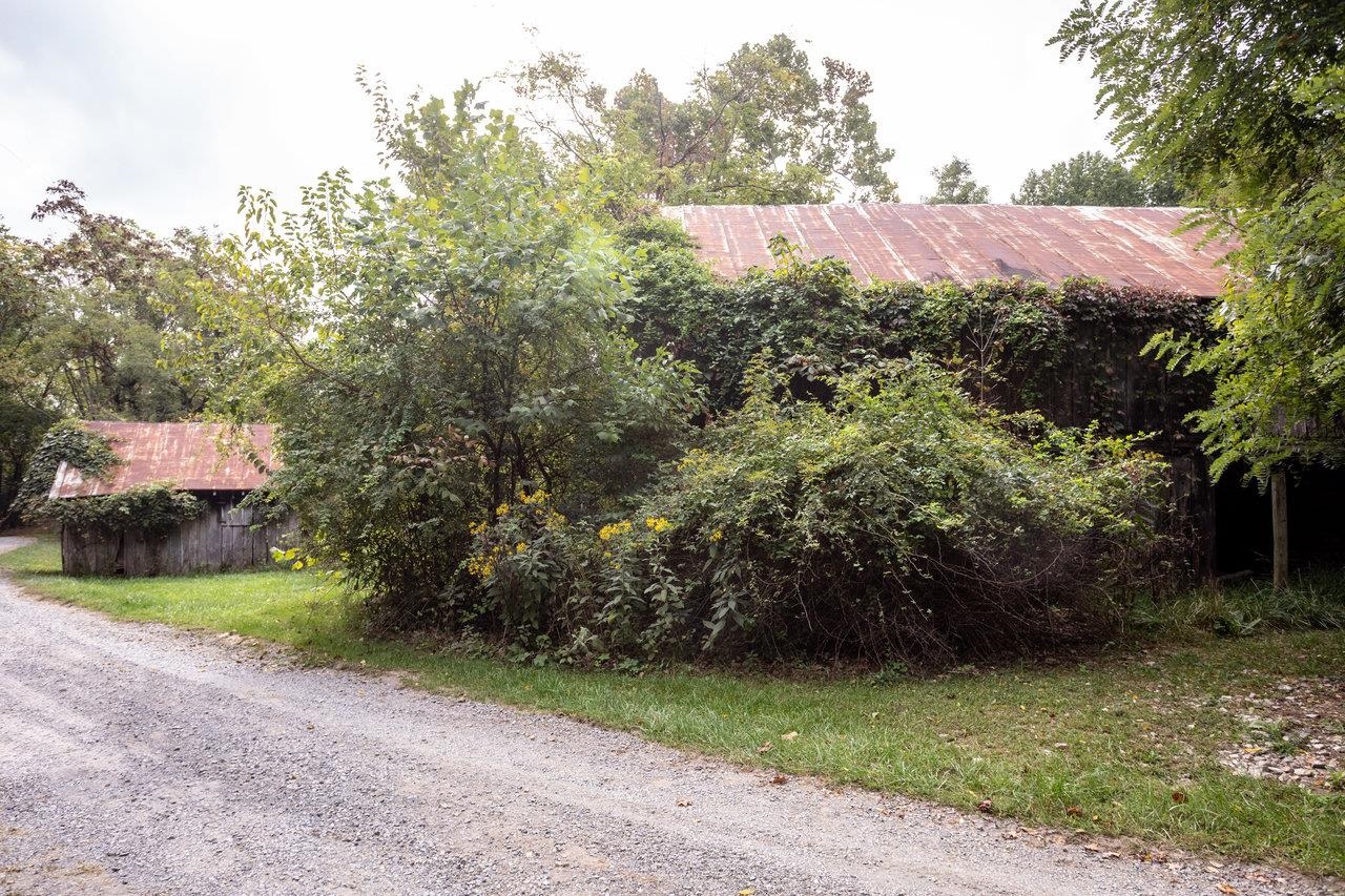 12159 Turleytown Road Broadway, VA 22815 - Photo 73 of 74 Gallery Image 73