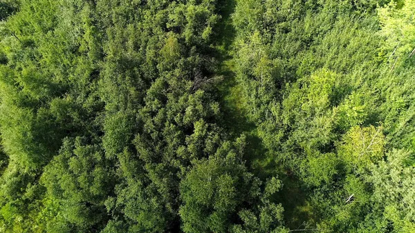 $449,900 | 35515 310th Avenue, Ruby, WI 54766