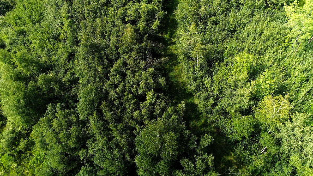 35515 310th Avenue Ruby, WI 54766 - Photo 5 of 15 19