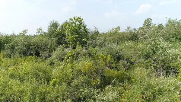 $449,900 | 35515 310th Avenue, Ruby, WI 54766