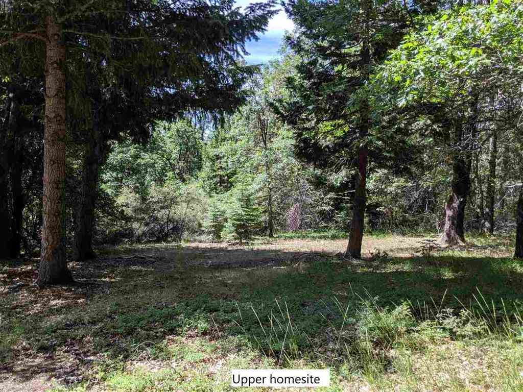 3 Deetz Road Rd Mount Mount Shasta, CA 96067 - Photo 15 of 37 Gallery Image 15