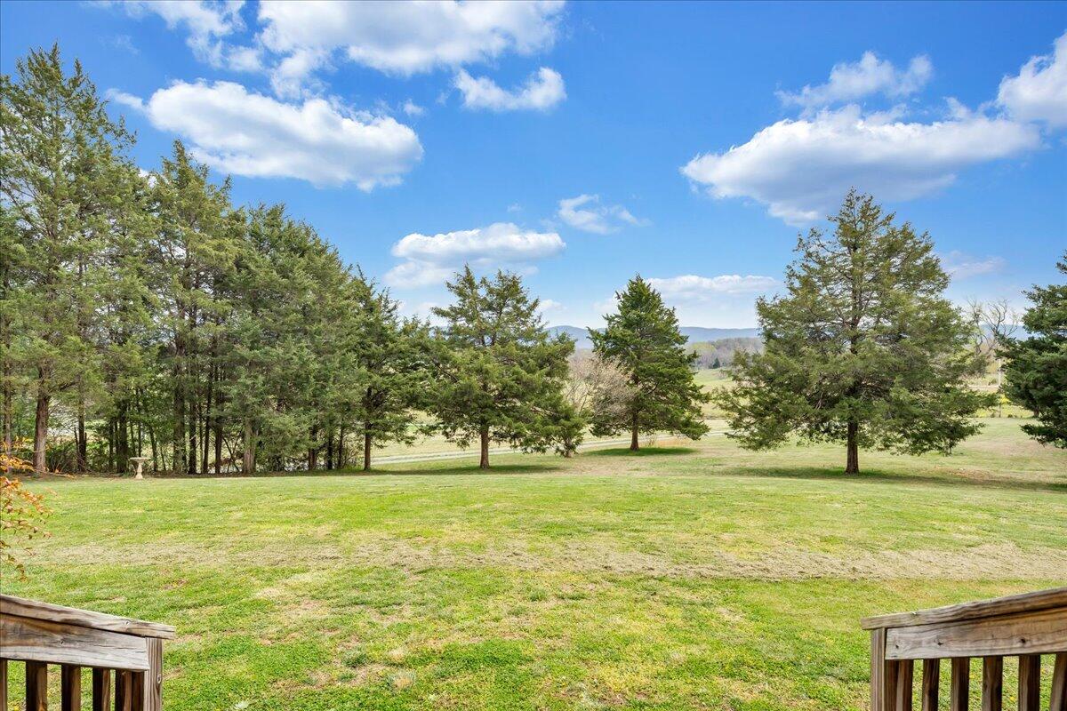 3394 Wheatland Road Fincastle, VA 24090 - Photo 57 of 77 56-MIB06669