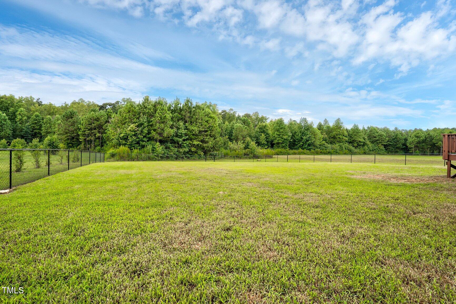 9506 South Beaver Crk Way Middlesex, NC 27557 - Photo 25 of 28 a view of a field with an trees in the background