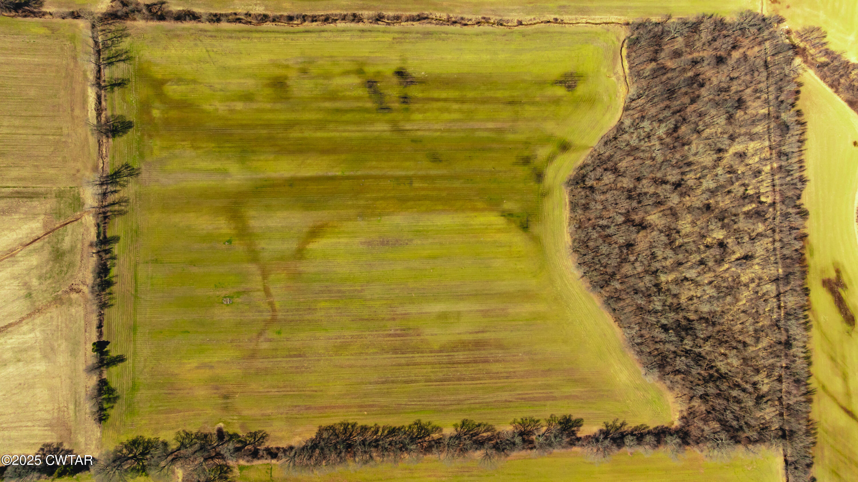 0 Colvett Road Alamo, TN 38001 - Photo 2 of 15 DJI_20250227112853_0048_D